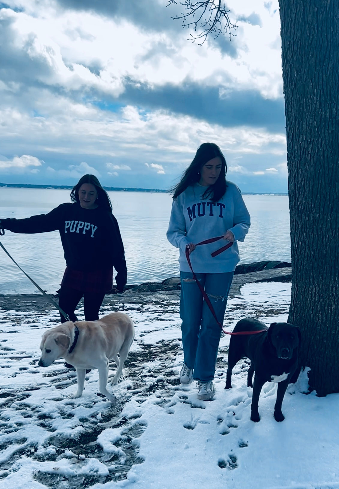 NAVY COZYDOG SWEATSHIRT